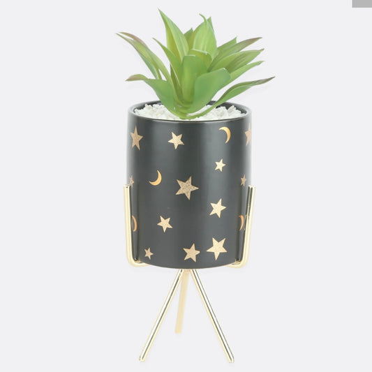 GALAXY PLANTER WITH PERCHED TERRACOTTA POT